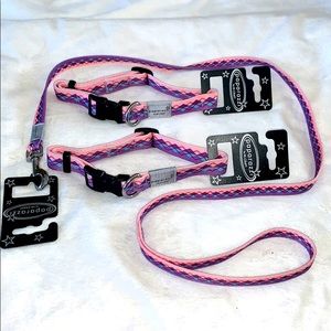 1 leash w 2 collars to match